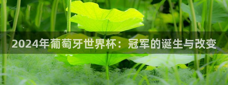 世界杯官网入口:2024年葡萄牙世界杯:冠军的诞生与改变