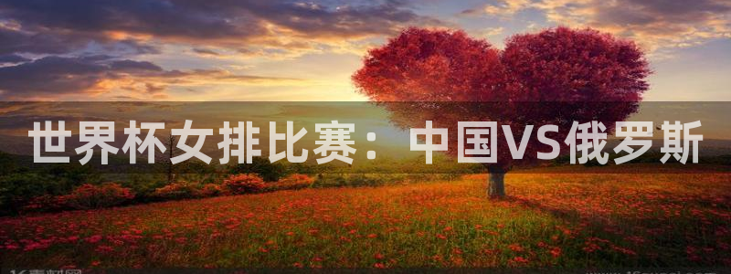 世界杯球队排名:世界杯女排比赛:中国VS俄罗斯