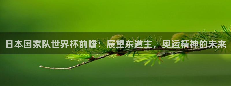2026世界杯倒计时:日本国家队世界杯前瞻:展望东道主,奥运精神的未来