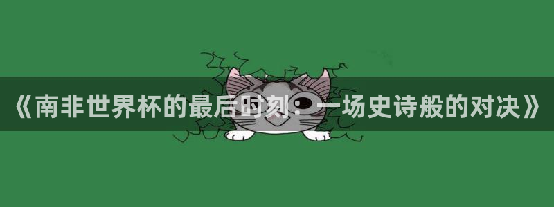 世界杯预选赛直播:《南非世界杯的最后时刻:一场史诗般的对决》