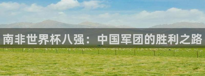 2026足球世界杯赛程:南非世界杯八强:中国军团的胜利之路